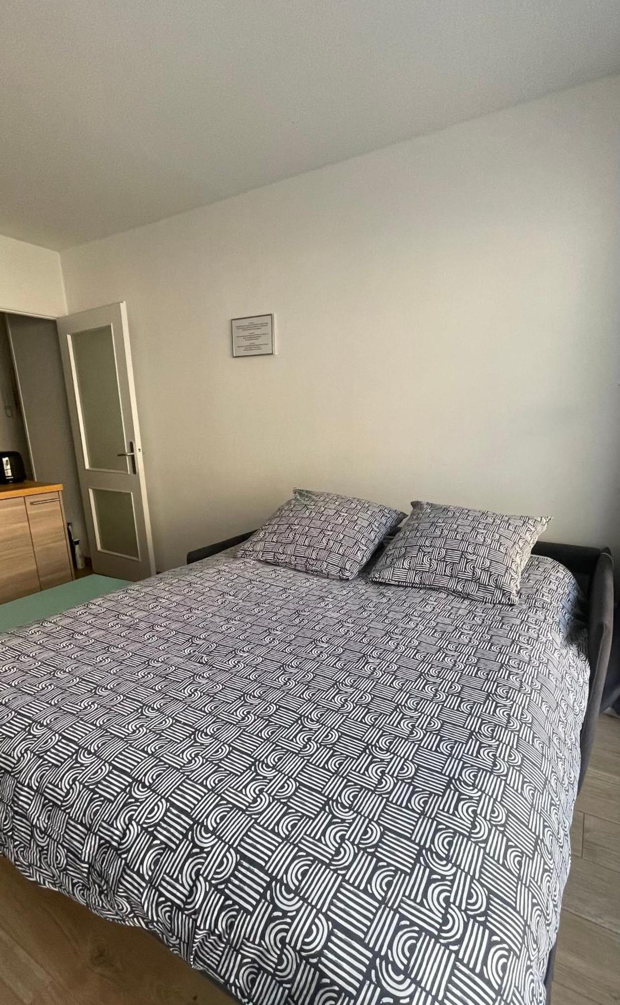 Studio Plein Centre, Calme, Parking Inclus, Piscine Et Gardien Гренобъл Екстериор снимка